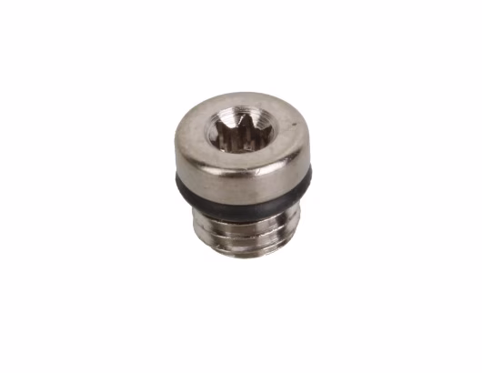 Lot de 20 vis de purge et joints de levier SRAM