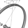 Rayon et écrou pour roue Shimano Deore XT WH-M8200-TL-F15 2
