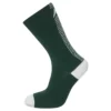 Chaussettes Altura Icon vert 37-39 3
