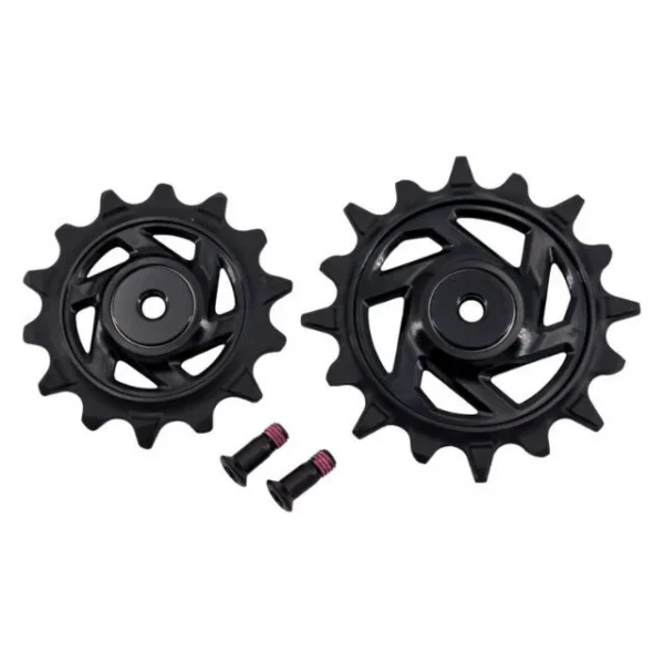 Kit galets de dérailleur X0 T-Type Eagle AXS 12v