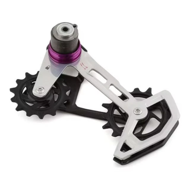 Chape de dérailleur complète XX T-Type Eagle AXS