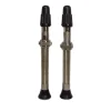 Paire de valves Tubeless Vittoria 60mm argent 2