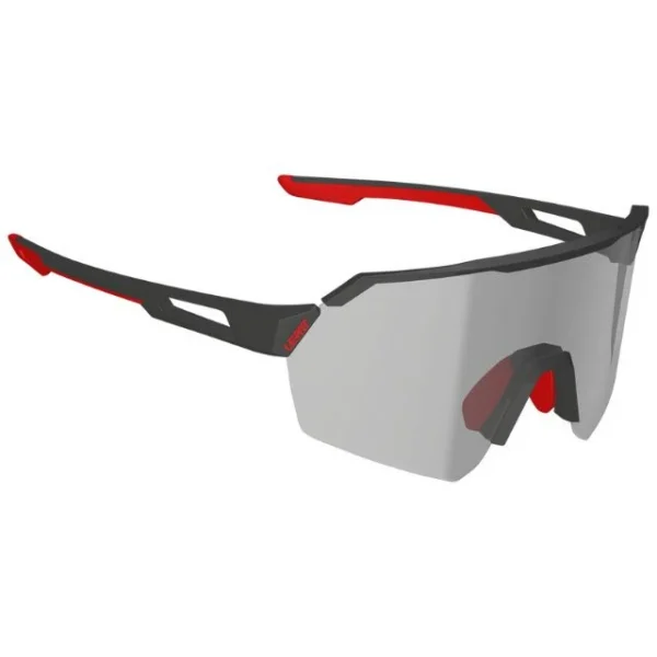 Lunettes Leatt RideViz Lite gris