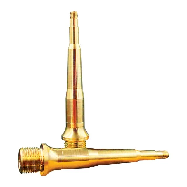 Paire d'axes de pédales Leatt titane or