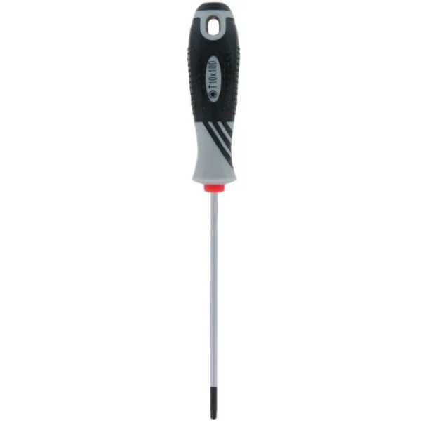 Tournevis Torx Var T10
