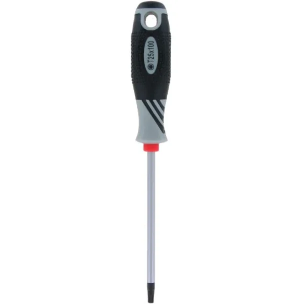 Tournevis Torx Var T25
