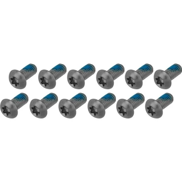 Lot de 12 vis de disque 6 trous Sram titane Argent